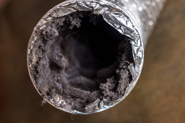Best Residential Air Duct Cleaning  in Monona, IA